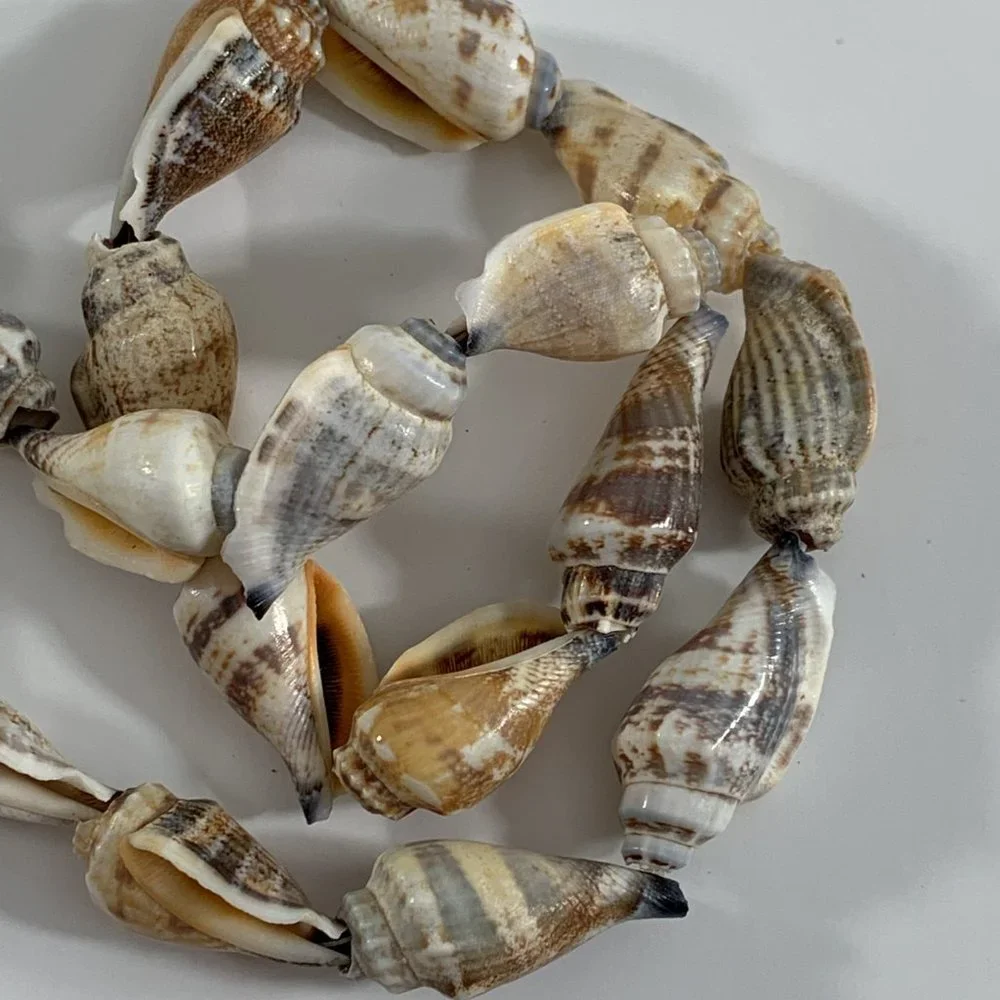 Mixed Lot 8 Shell Necklaces Hawaiian Beach Wedding Boho Wearable Seashells